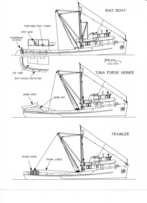 Trawler Diagram  Fishing boats, Boat, Nature school