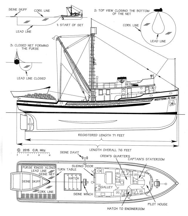 Drawing of the Western Flyer as seiner, Hitz drawing